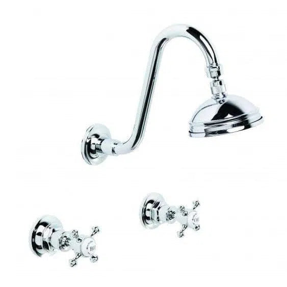 Brodware Winslow Swan Neck Shower Set