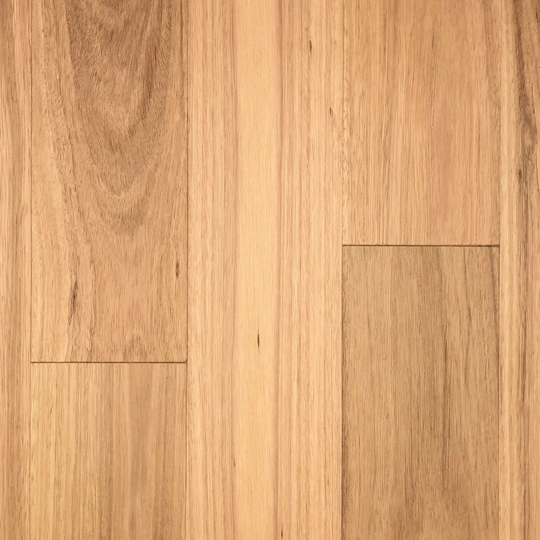 Blackbutt - First Floors Brushed & Oiled Engineered Flooring