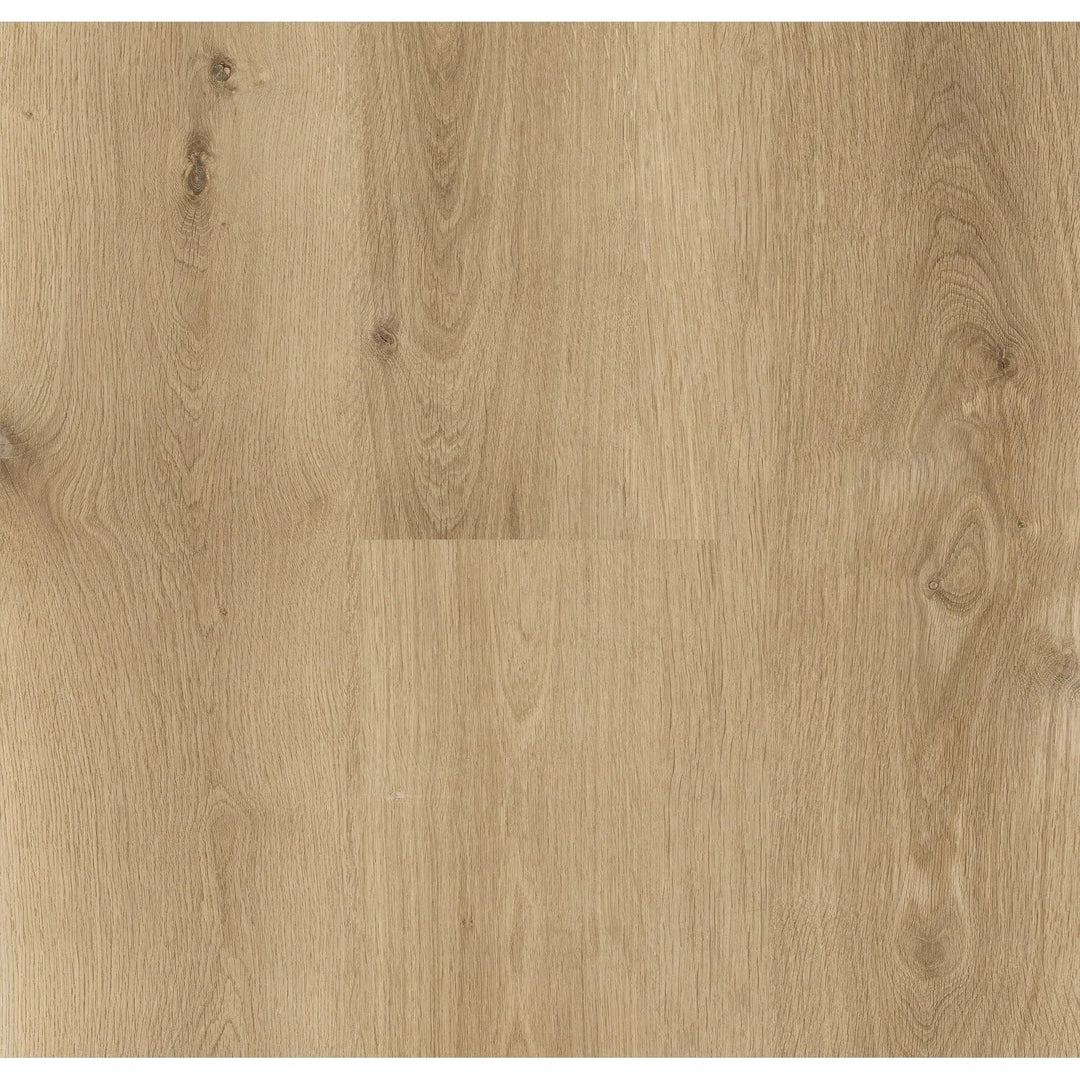 Chicory - Preference Aspire RCB Hybrid Flooring