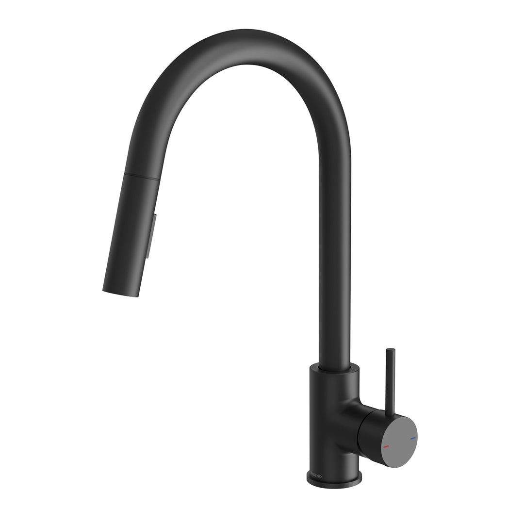 Phoenix Pina Pull Out Sink Mixer - Design 10