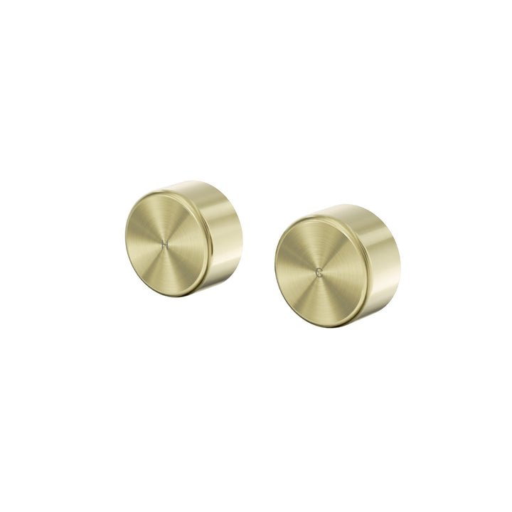 Nero Serenity Wall Top Assembly - Metal Handle Brushed Gold