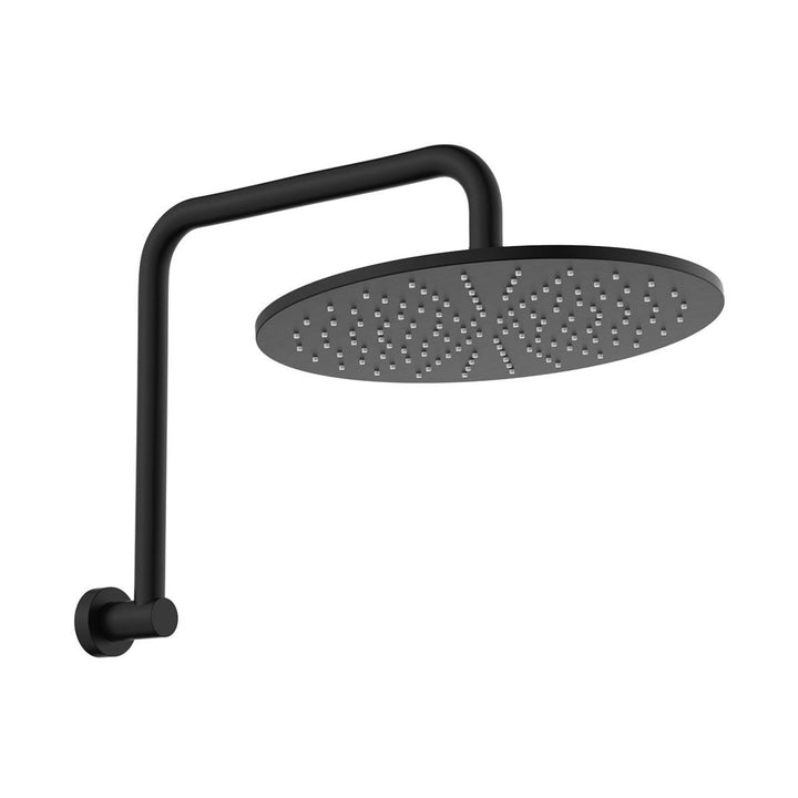 Fienza Empire Slim Gooseneck Shower Arm Set