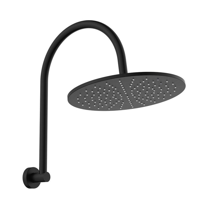 Fienza Empire Slim Curved Shower Arm Set