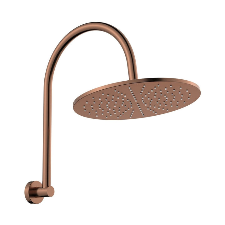 Fienza Empire Slim Curved Shower Arm Set