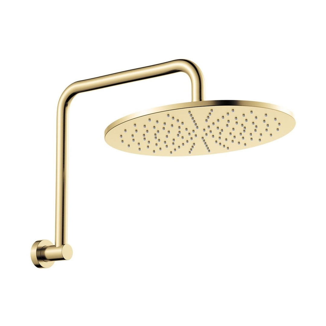 Fienza Empire Slim Gooseneck Shower Arm Set