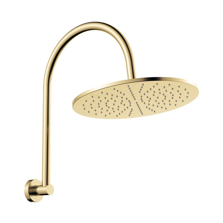 Fienza Empire Slim Curved Shower Arm Set
