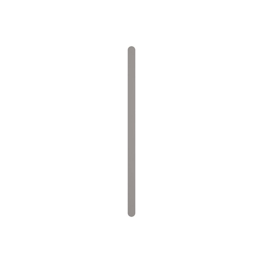 Fienza Empire Slim 12V Vertical Single Bar Heated Towel Rail  900mm