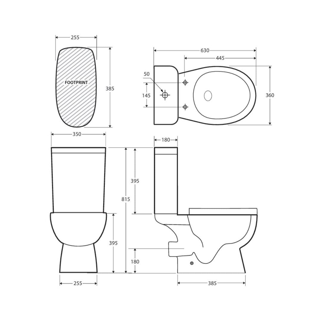 Fienza Delta Rimless Extra Height Back-To-Wall Toilet Suite