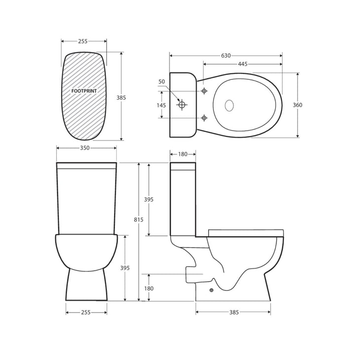 Fienza Delta Rimless Extra Height Back-To-Wall Toilet Suite