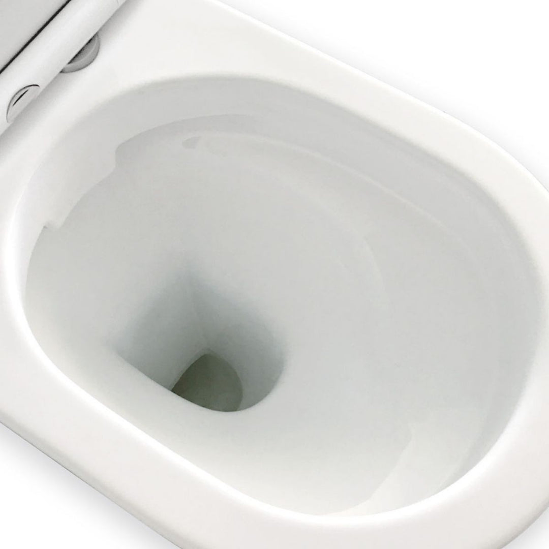 Fienza Delta Rimless Extra Height Back-To-Wall Toilet Suite