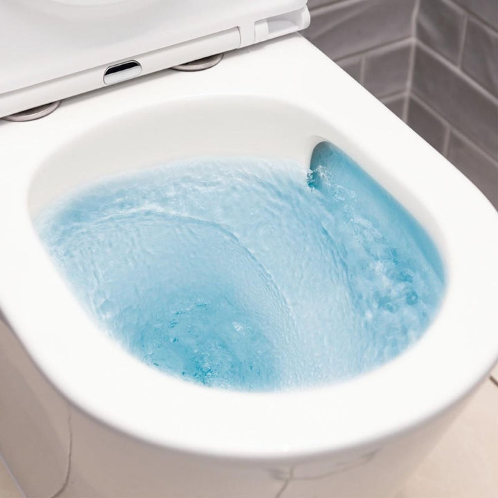Fienza KAYA Back To Wall Toilet Suite
