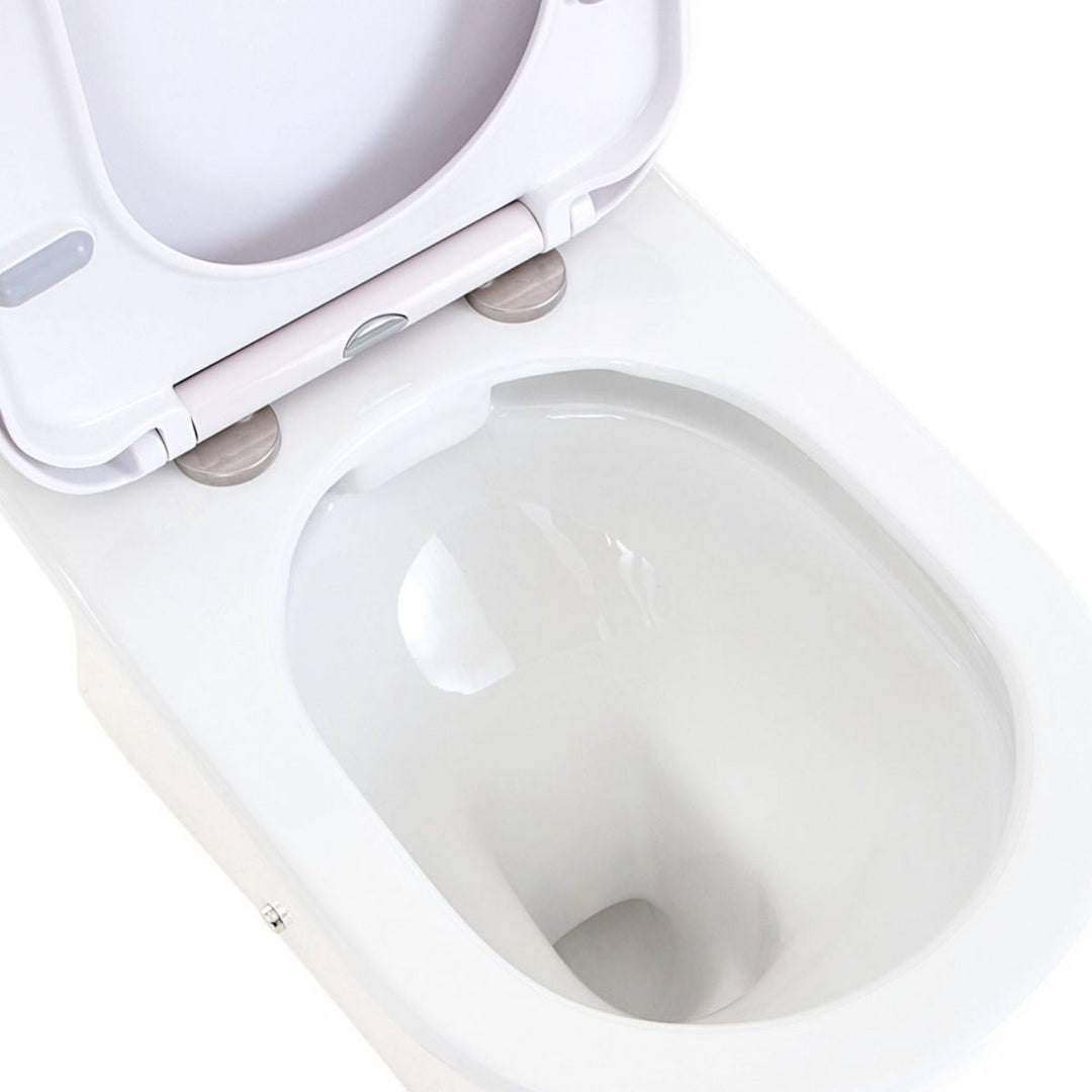 Fienza Escola Back To Wall Toilet