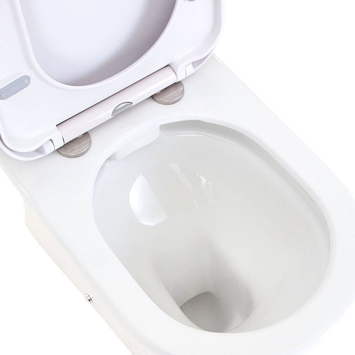 Fienza Escola Back To Wall Toilet