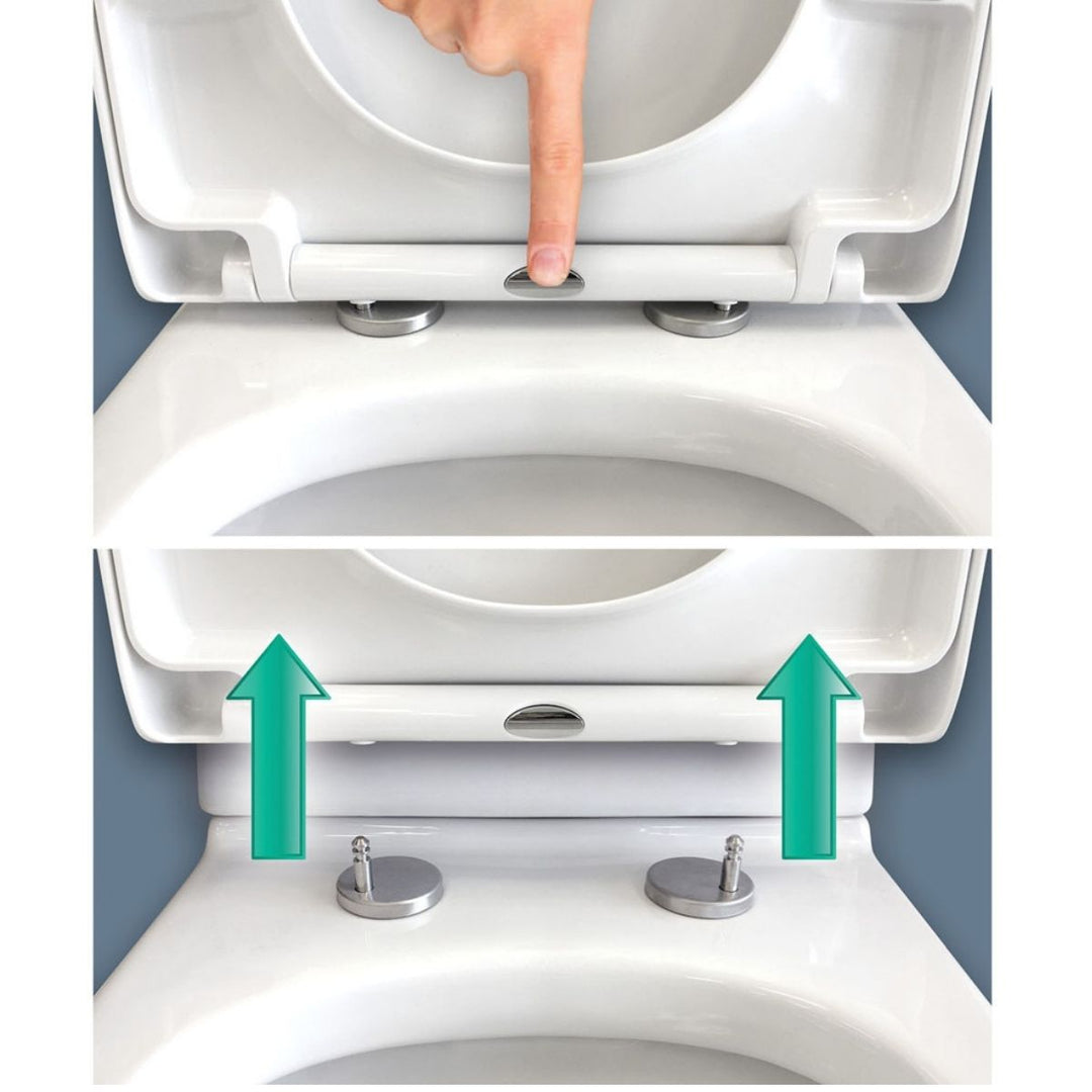 Fienza Escola Back To Wall Toilet