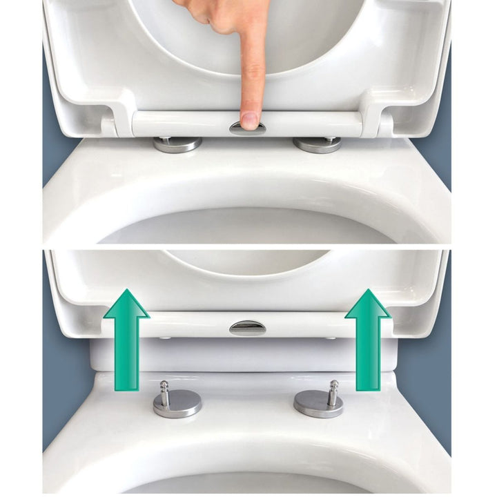 Fienza Escola Back To Wall Toilet