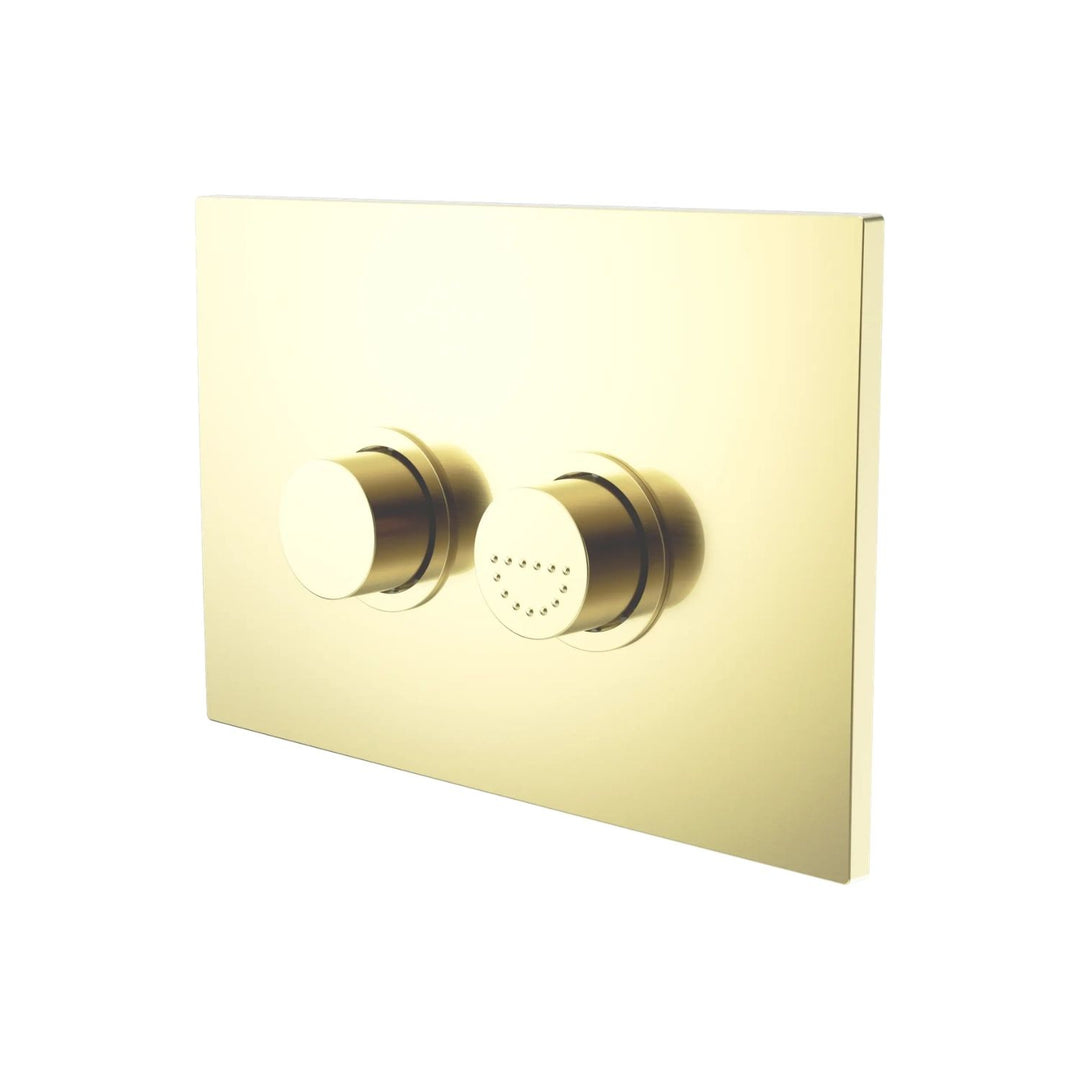 Nero Mecca Care Raised Pneumatic Flush Buttons Plate DDA Compliant