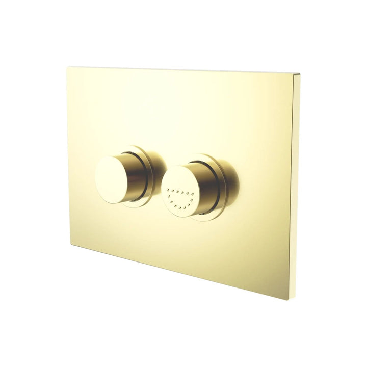 Nero Mecca Care Raised Pneumatic Flush Buttons Plate DDA Compliant