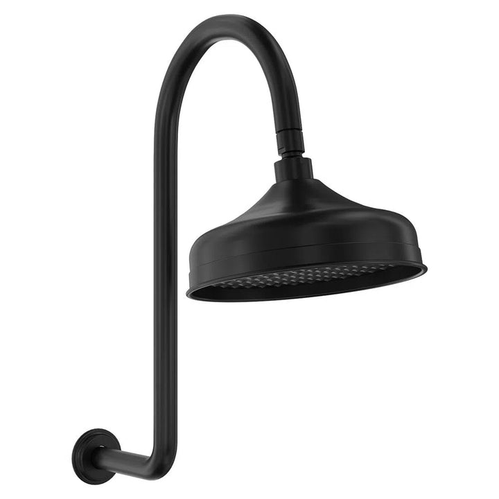 Fienza LILLIAN Shower Arm and Head Set