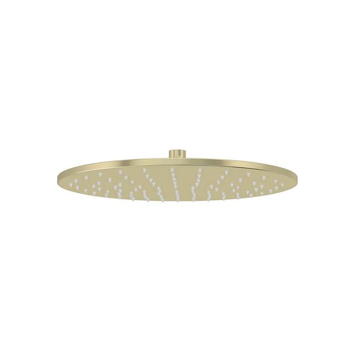 Meir Round Shower Rose
