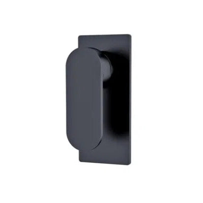 Nero Ecco Shower Mixer Matte Black