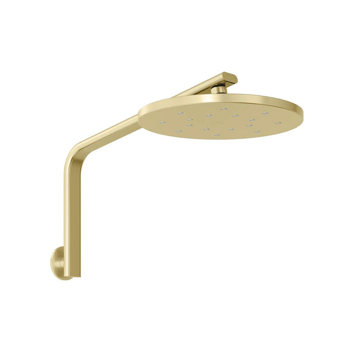 Phoenix Oxley High-Rise Shower Arm & Rose