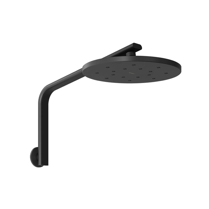 Phoenix Oxley High-Rise Shower Arm & Rose