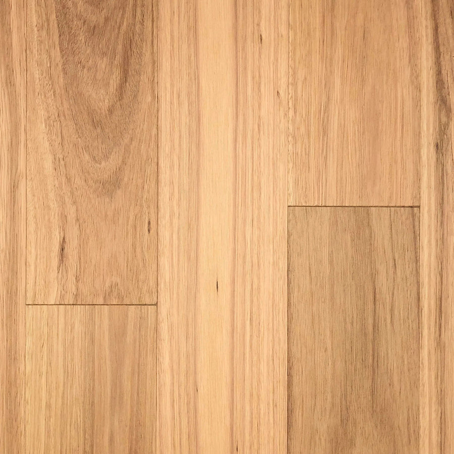 Engineered Flooring Tait Flooring Blackbutt - First Floors Brushed & Oiled Engineered Flooring