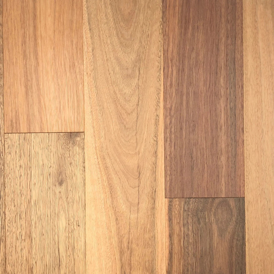 Engineered Flooring Tait Flooring Spotted Gum - First Floors Brushed & Oiled Engineered Flooring