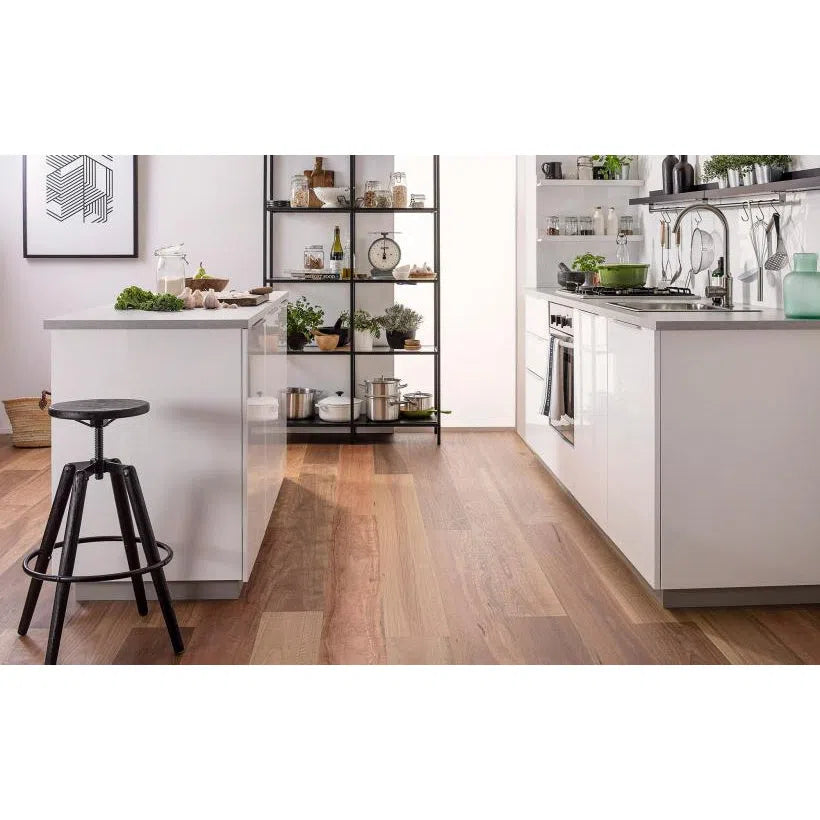 Engineered Flooring Tait Flooring Spotted Gum - Pentarch Forestry Brushed Engineered Flooring
